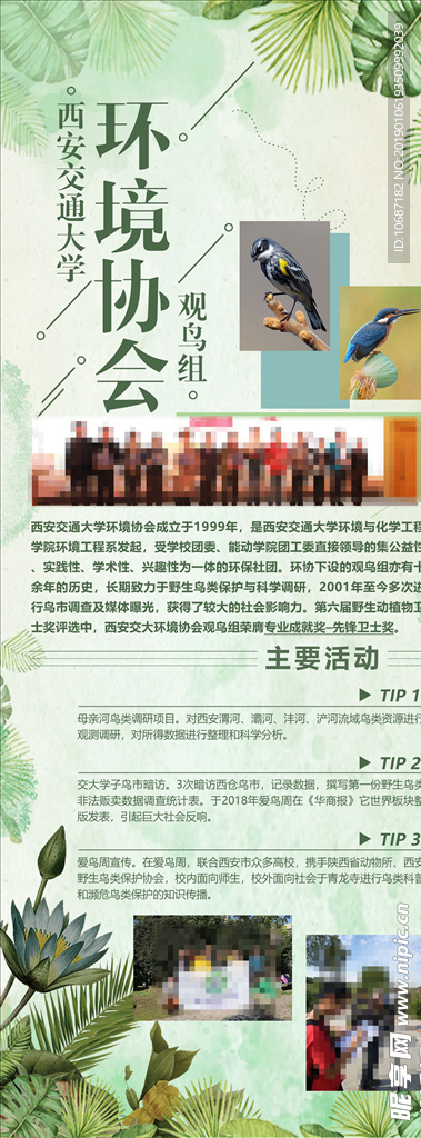 环境协会  生态