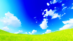 蓝色的天空 天空 绿色 地球