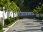 乡村小路