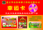 玉米种子