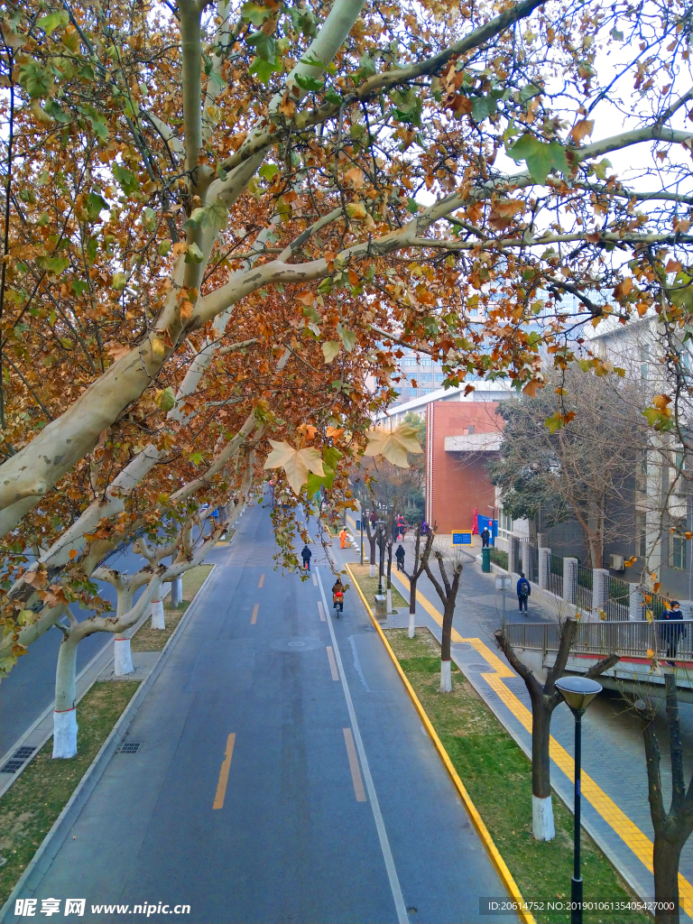 深秋时节的城市风景