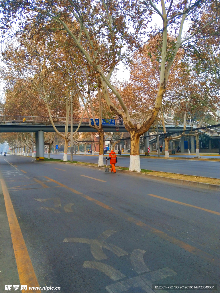 城市道路风景