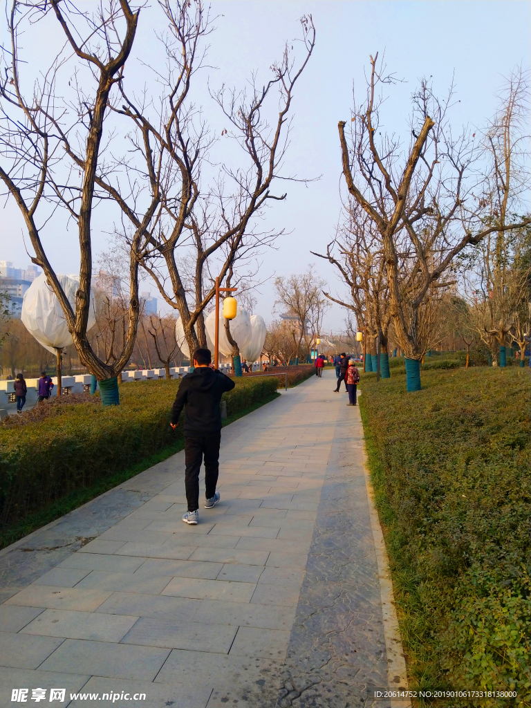 夕阳下的公园风景