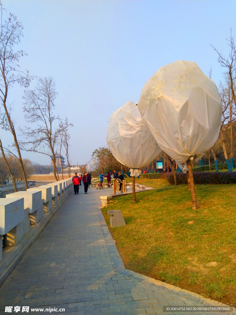 夕阳下的公园风景