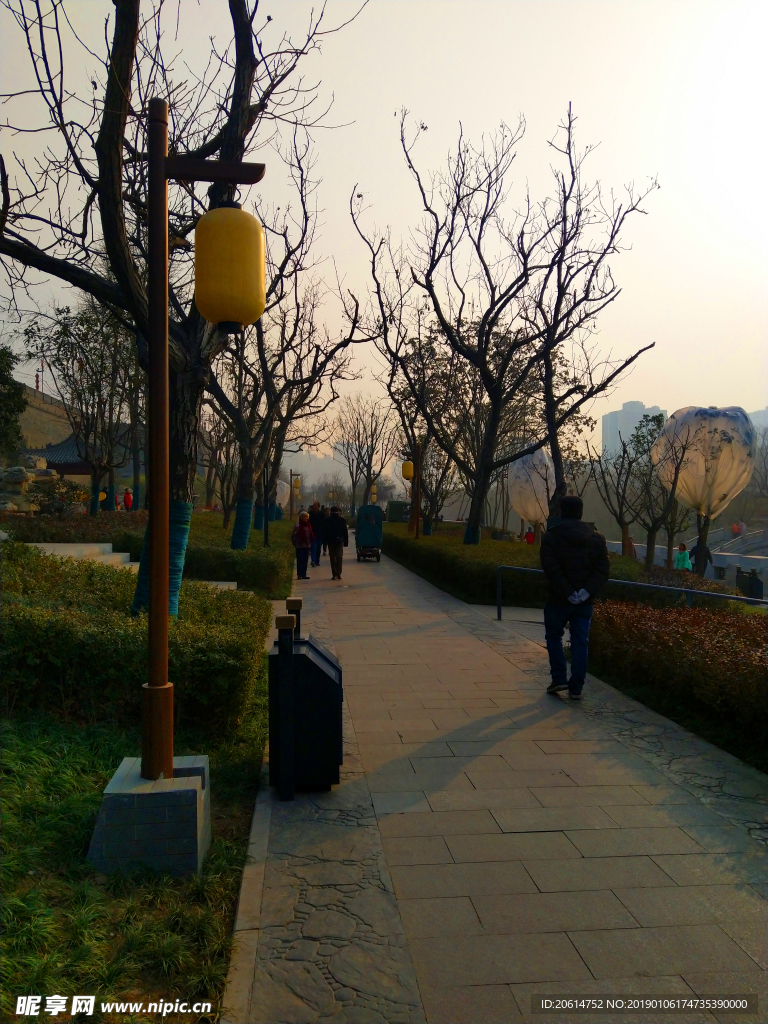 日暮下的公园风景