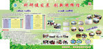 学校板报