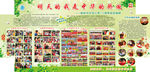 学校板报