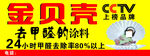 金贝壳
