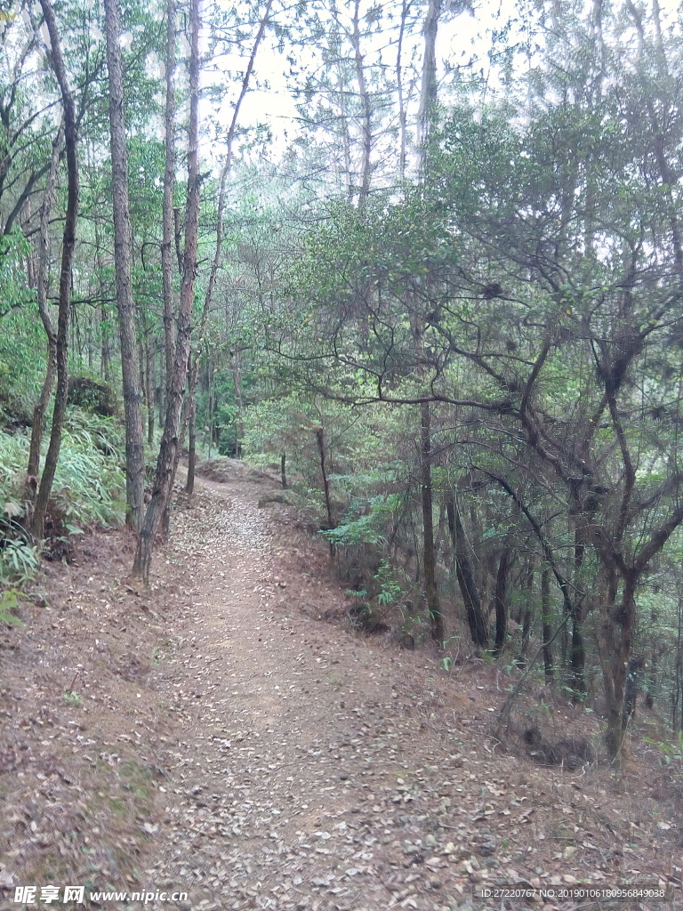 梅州百岁山山路