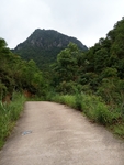 山路