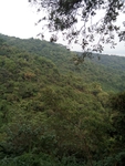 白云山森林