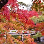 日本