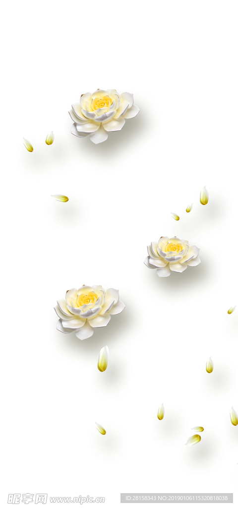 梦幻花