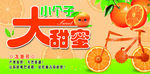冰糖橙