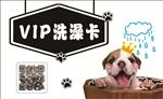 宠物店洗澡卡