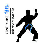 跆拳道 蓝带