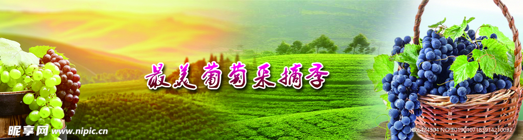 葡萄图片