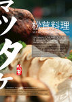 松茸海报