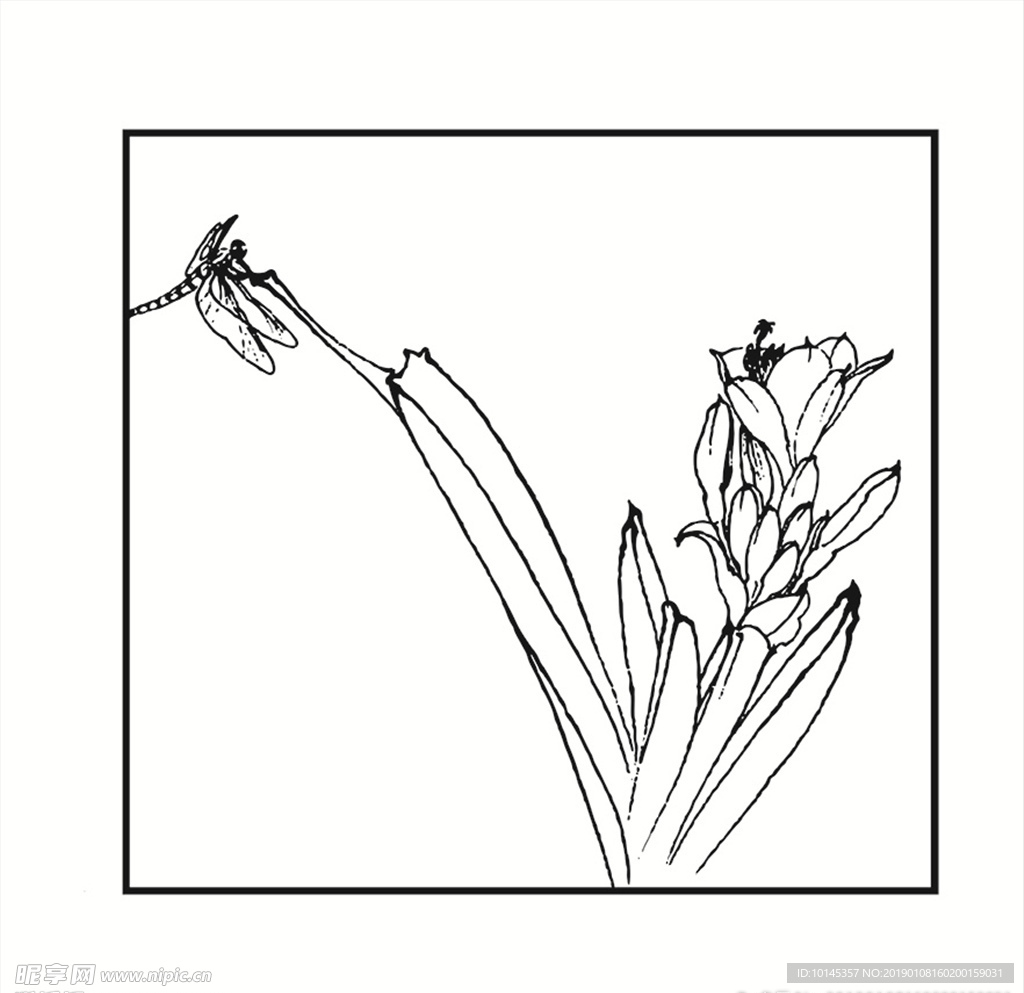 蜻蜓与花卉