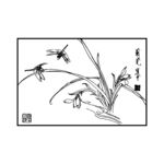 蜻蜓与花卉