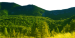山峰