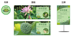 莲蓬