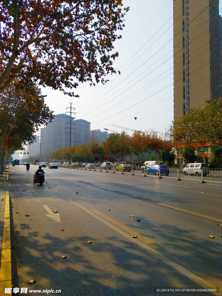 城市道路风景