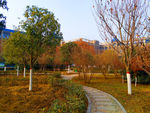 夕阳下的校园美景