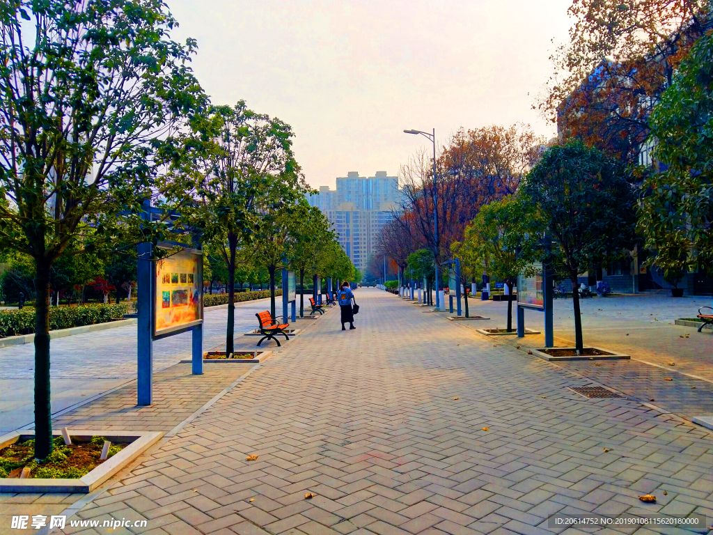 夕阳下的校园风景