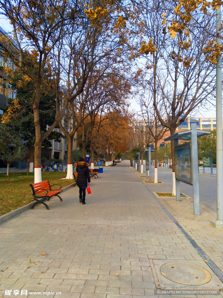 美丽的校园风景