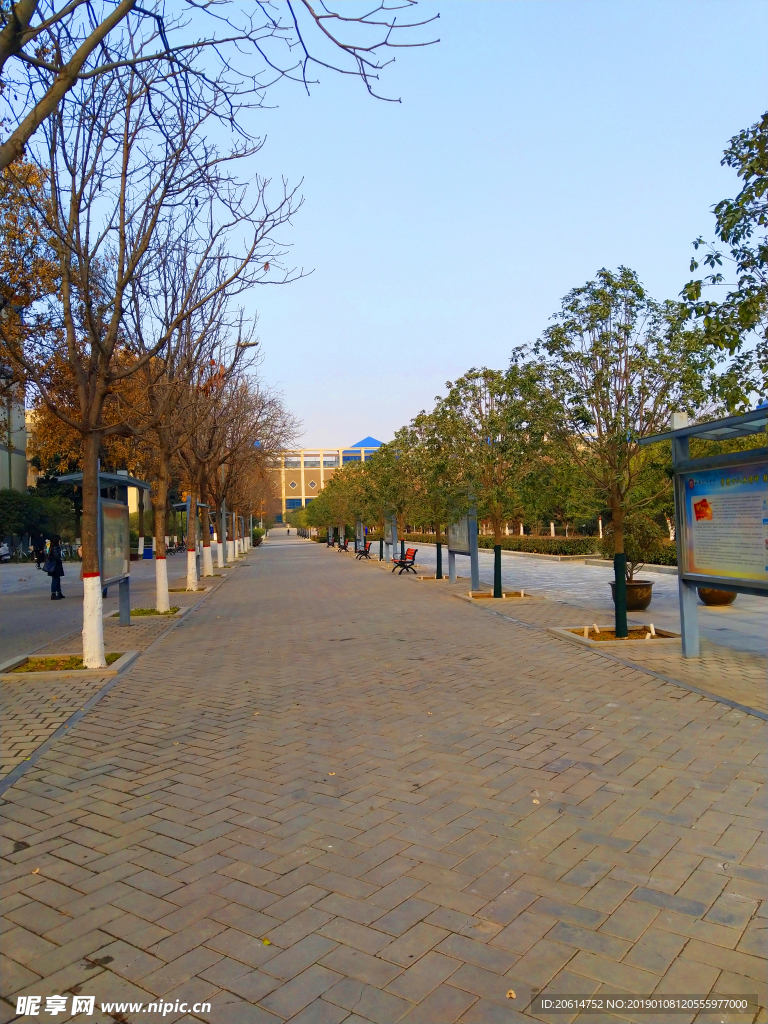 日暮下的校园风景