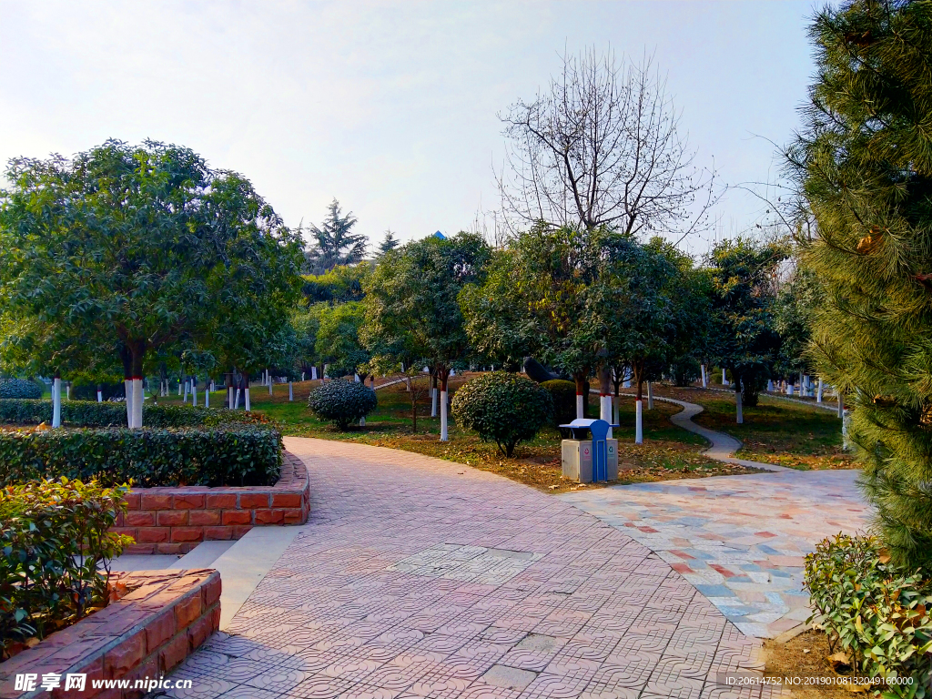 日暮下的公园风景