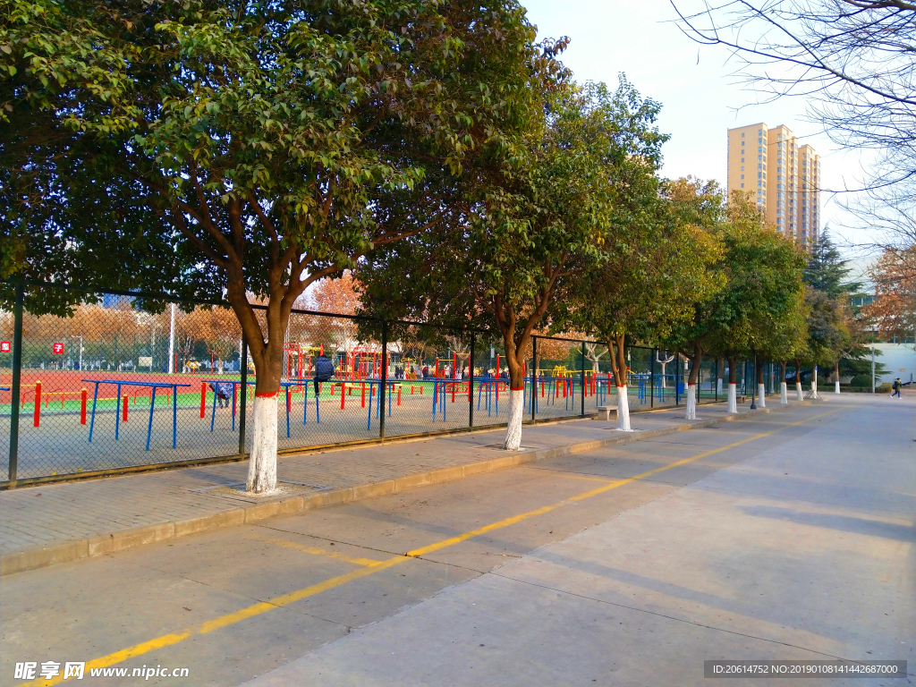 美丽的校园风景