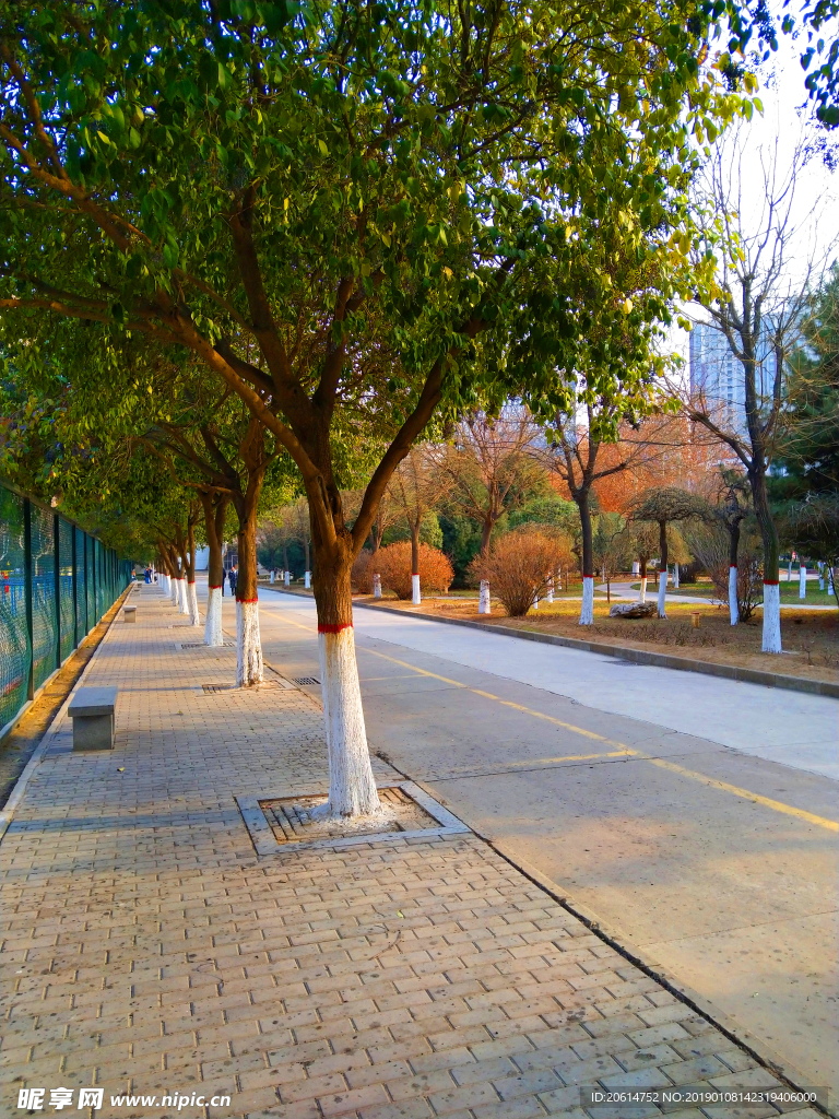 美丽的校园风景