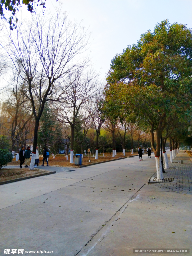 美丽的校园风景