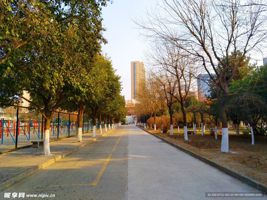 夕阳下的校园美景