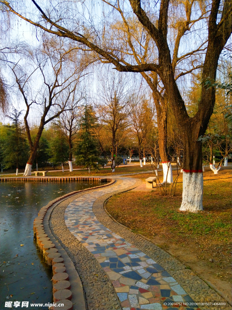 夕阳下的公园风景