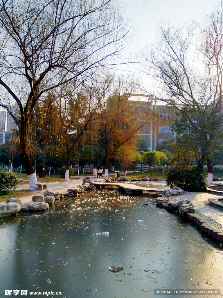 冬日里的校园风景