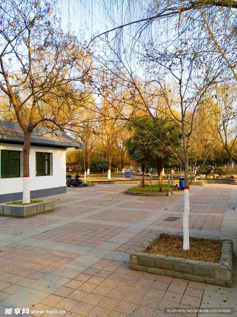 美丽的校园风景