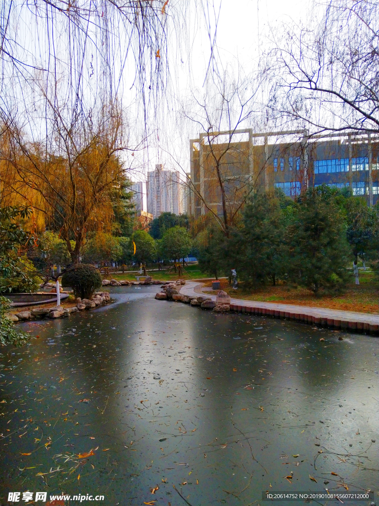 冬日里的校园风景