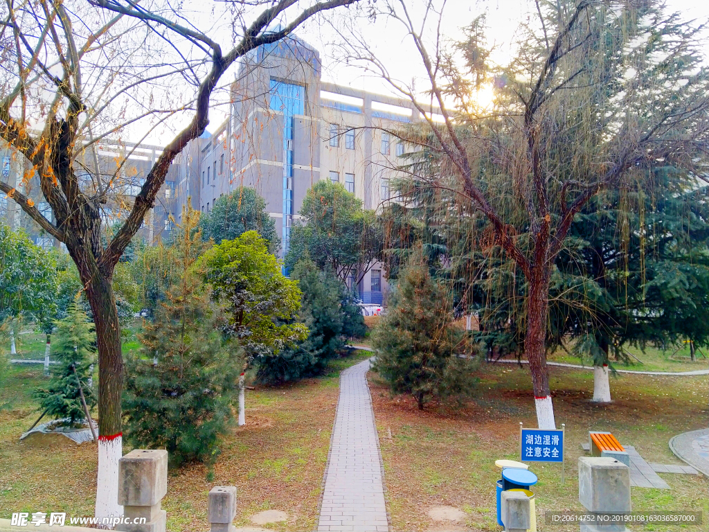 美丽的校园风景