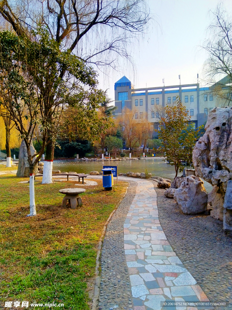 夕阳下的校园风景