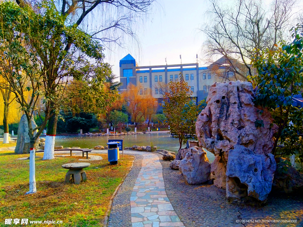 美丽的校园风景