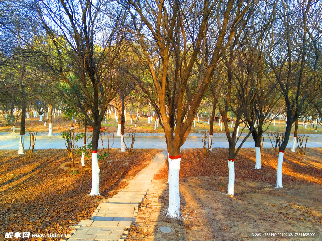 美丽的公园风景