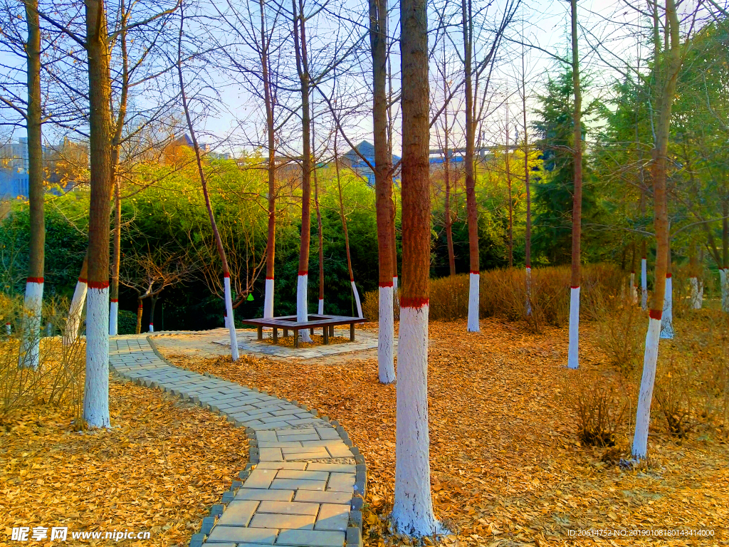 美丽的公园风景