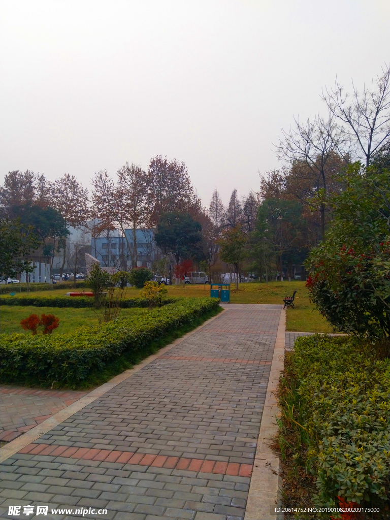 美丽的公园风景