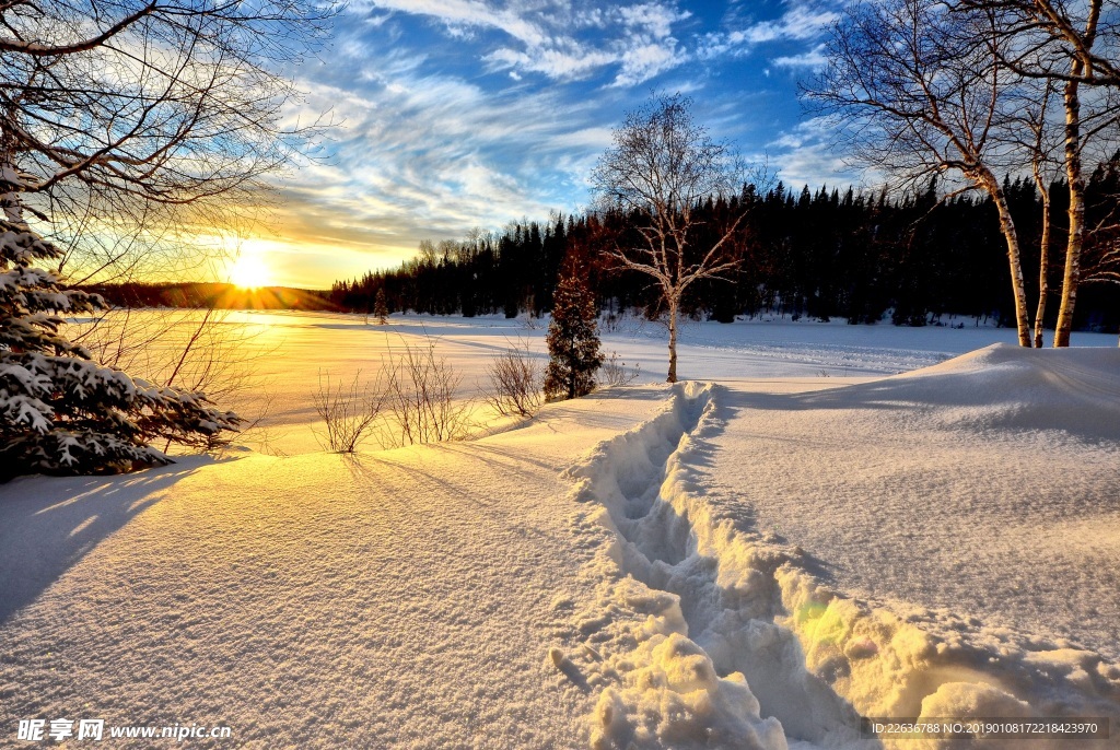 冬日风景 日落 雪