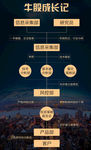 流程图