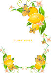 柠檬花边