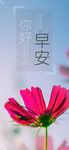 早安